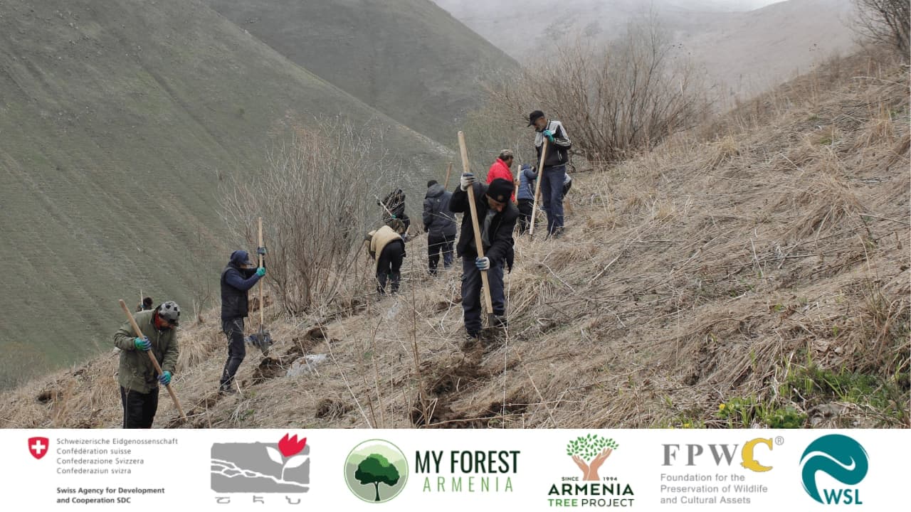 First results of the FORACCA project implementation