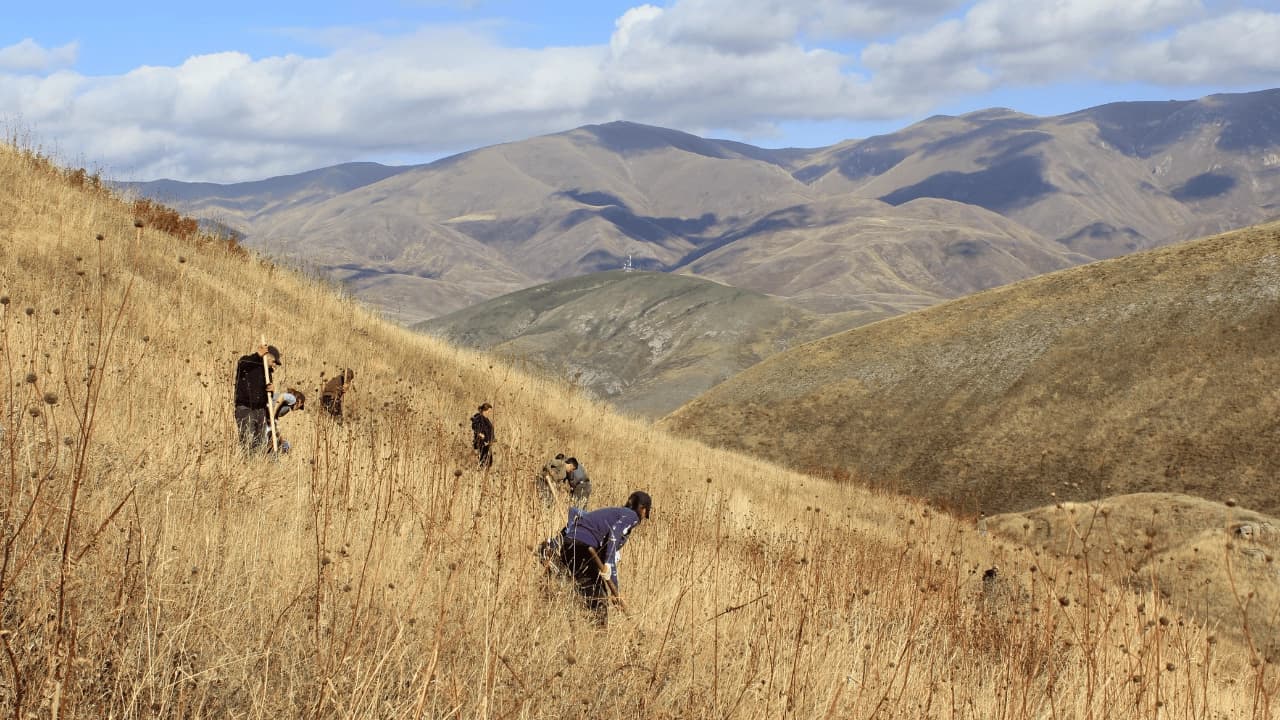 Fall Planting season 2025 is over