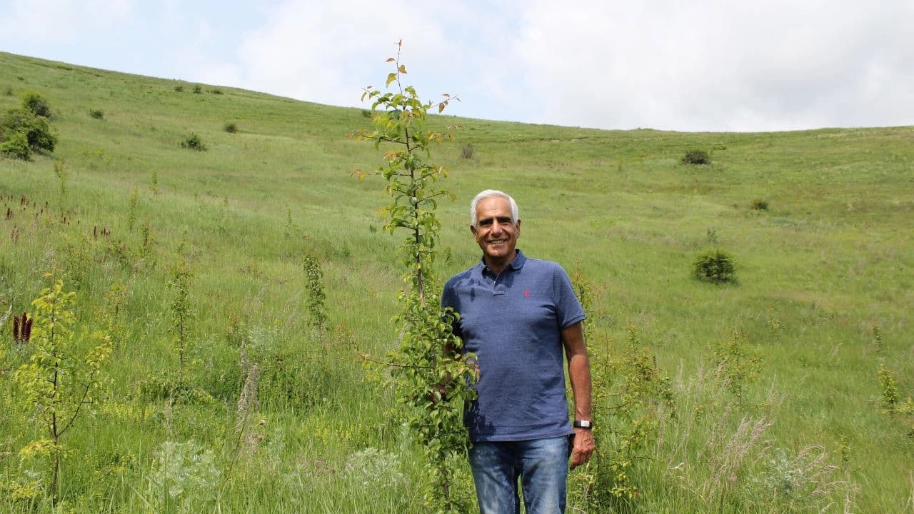 FIRST TWO METER HIGH TREES!