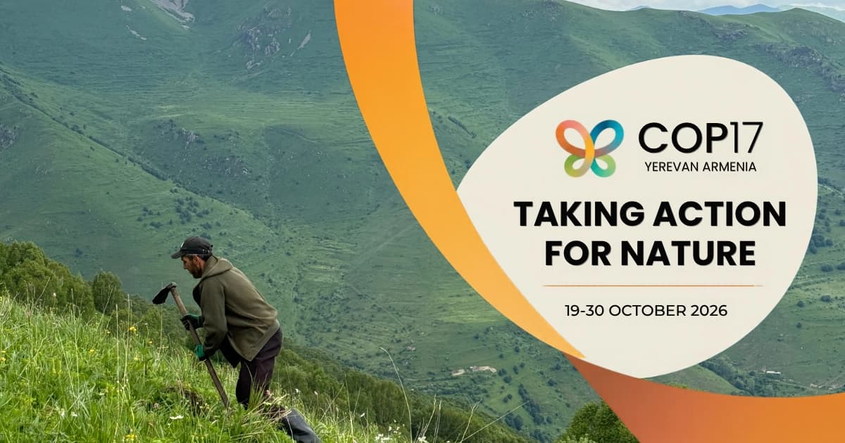 Meet My Forest Armenia at COP17 in Yerevan